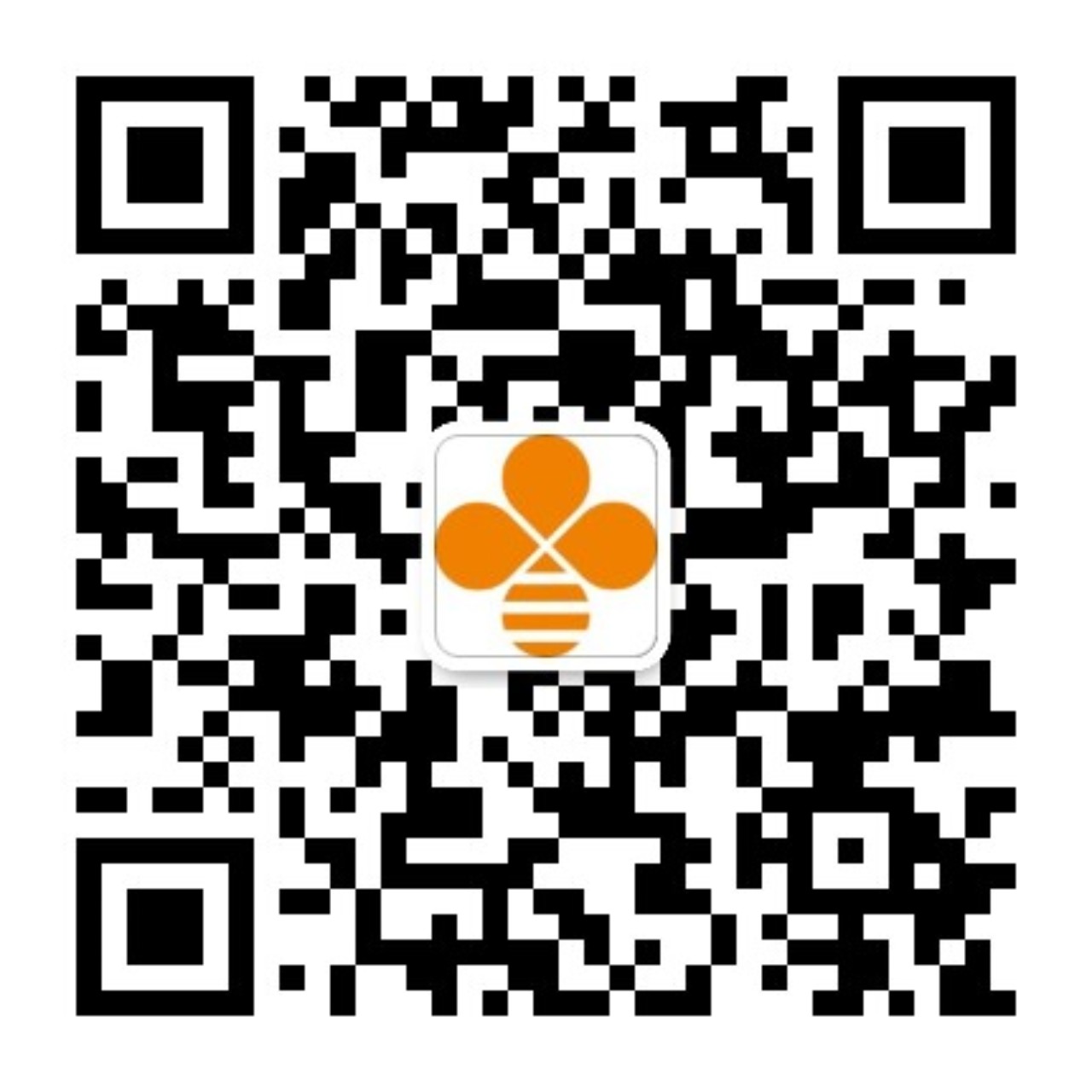 文档图片