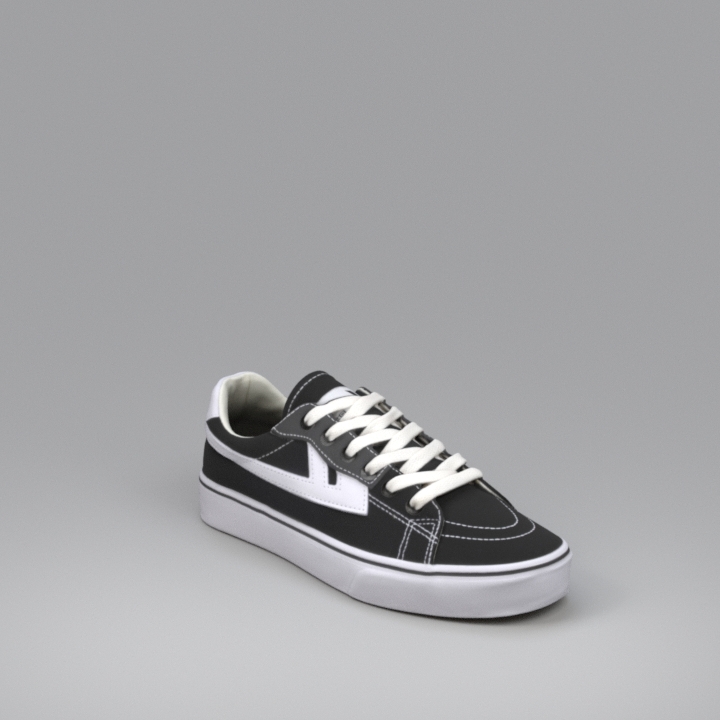 Shoe (2)